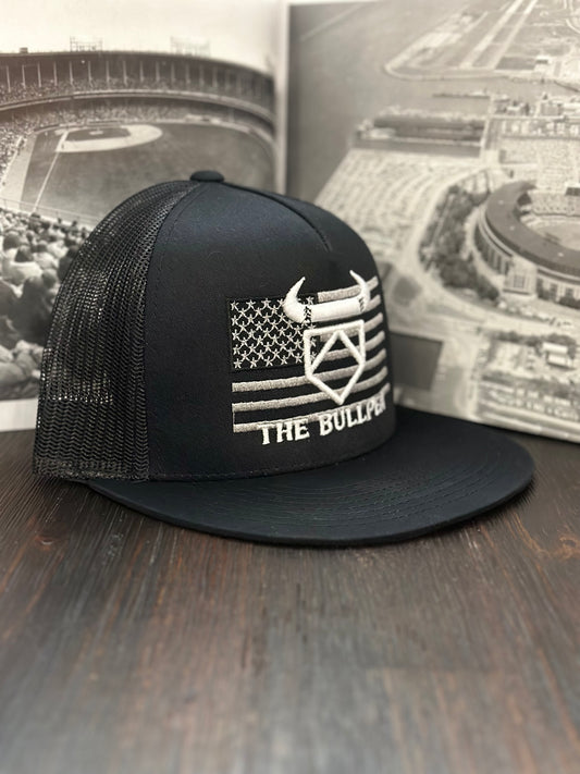 America's Favorite Pastime Hat